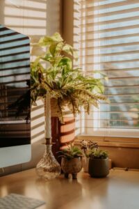 Tips for Creating a Relaxing Home Office Environment